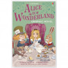 Alice in Wonderland Graphic Novel